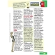 Clear Essentials - Livre de base - Apprentissage de l'anglais